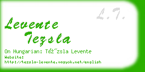 levente tezsla business card